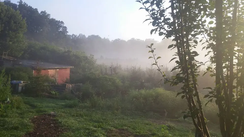 Working area of the Mavis Institute farm